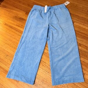 BDG URBAN OUTFITTERS Light Blue Corduroy Wide-Leg Pants